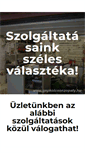 Mobile Screenshot of gepkolcsonzopaty.hu